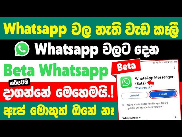 How to Join WhatsApp Beta Tester Version in Sinhala | Whatsapp beta version sinhala