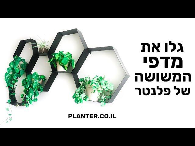 מדף משושה: גלו את מדפי המשושה של פלנטר