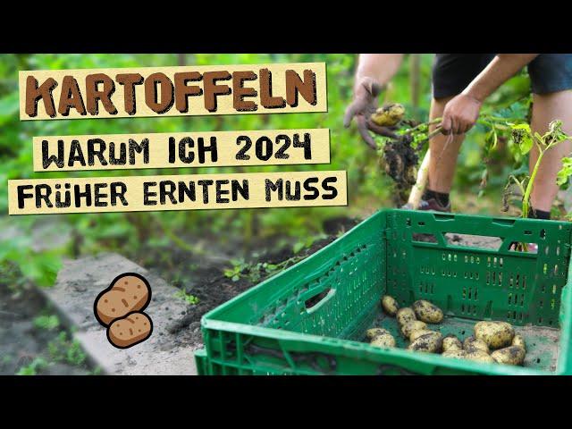 Warum du Kartoffeln 2024 früher ernten solltest wenn du diese Probleme hast - Knollenfäule im Boden