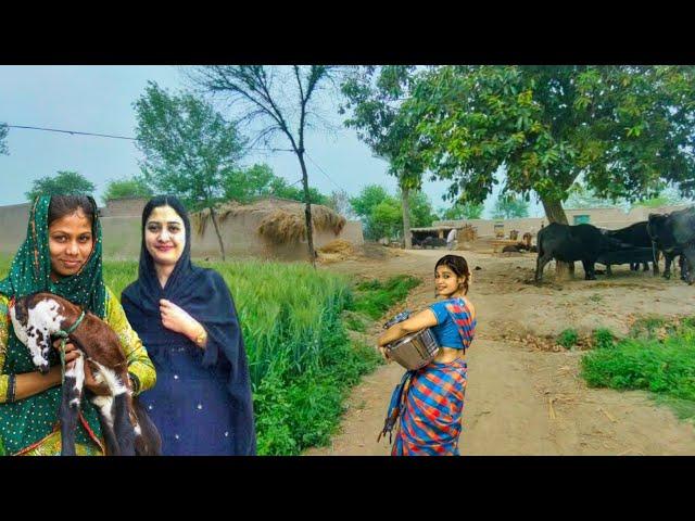 Unseen Beautiful Village Life in Pakistan | Mud House | Old Culture | Pakistani Village Life