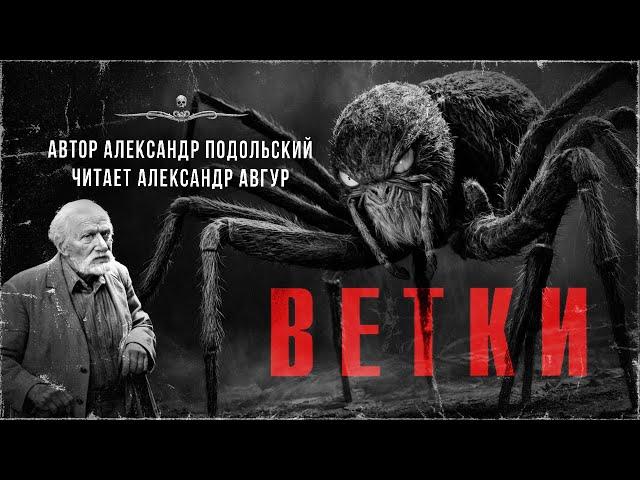Рассказ ужасов. Автор Александр Подольский | АРХИВЫ ССК