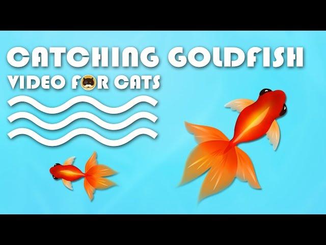 CAT GAMES FISH - Catching Goldfish! Fish Video for Cats to Watch.