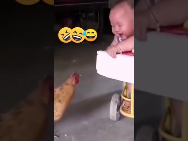 Bayi Ketawa Ngakak sama ayam  #shorts #shortvideo #lucu