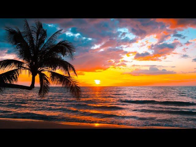 Sunset Background Video No Copyright | Sunset Stock Footage | Romance Post BD