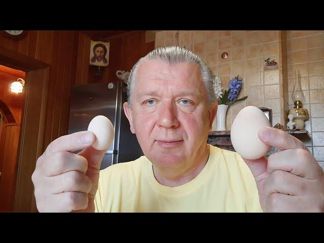 Мы состоим из того, что едим. Тест с яйцами. Доктор Лопатин Евгений Борисович (Мытищи. Никадент)