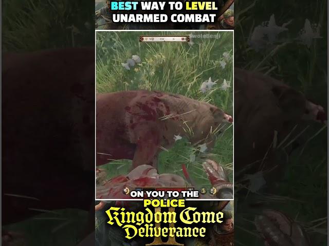 Kingdom Come Deliverance 2 - The BEST Way to Level Unarmed Combat