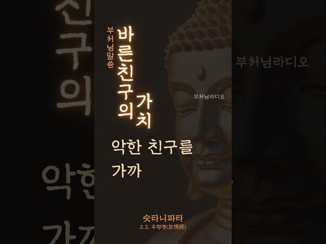 바른 친구의 가치 | 숫타니파타 2.3, 우정경 | 부처님말씀 | 석가모니 명언 #마음치유 #불교방송