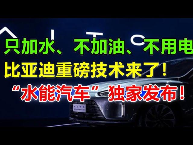 “加水50升，可跑4000km”！比亚迪带着“水能汽车”让下半年全球汽车大震荡，德国大众技术总监直接说：不可能！绝对 不可能！可惜发布会一公布，整个人瘫软在地：我们落后30年了！