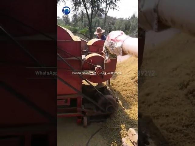 How does a sorghum thresher work ? #shorts