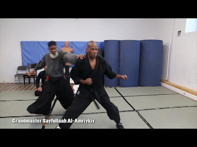 Sanuces Ryu Defense against Kicks