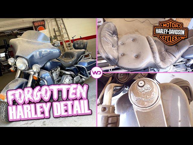 FORGOTTEN TRASHED Harley FIRST DETAIL IN YEARS! Satisfying Motorcycle Detail | ASMR Restoration