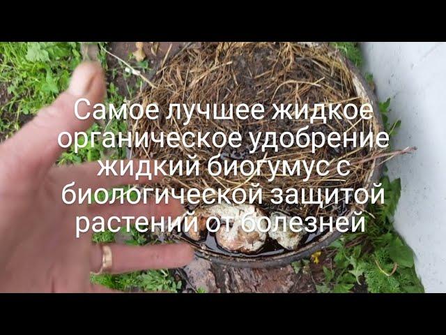 Лучшее жидкое удобрение биопрепараты подкормки своими руками