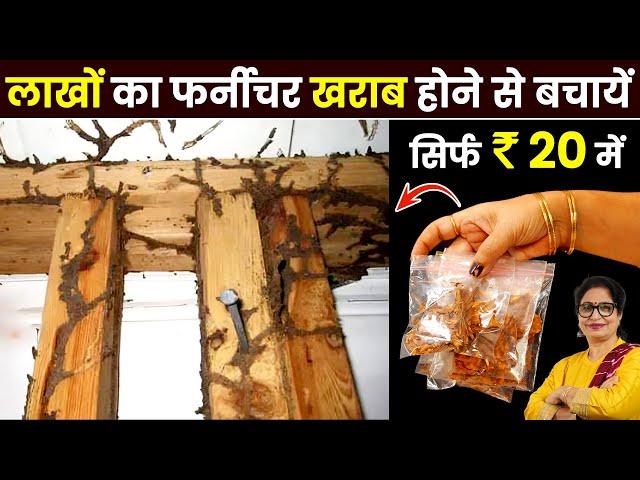 घर के फर्नीचर-दीवारों पर लगी हुई दीमक से हमेशा के लिए 100% छुटकारा पाएं | How To Get Rid Of Termites