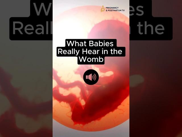 What Babies HEAR In WOMB (Sound ON ) #fetus