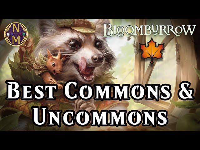 The BEST Commons & Uncommons in Bloomburrow | Magic: the Gathering Draft and Sealed