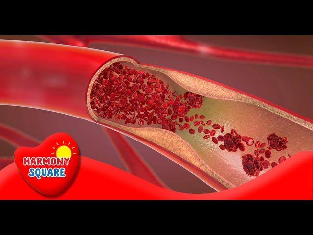 What are Blood Vessels - More Learning on the Learning Videos Channel