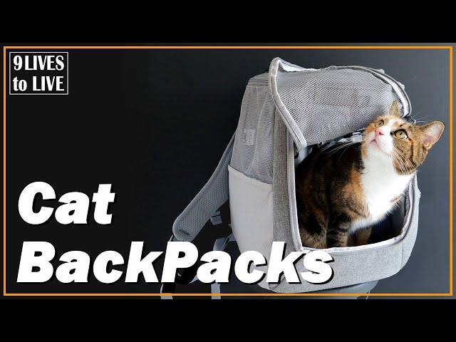 Are cat backpacks and carriers worth the money? Review of The Navigator by Travel Cat