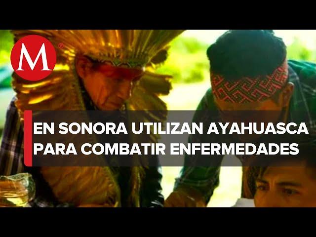 Así usan la ayahuasca como tratamiento contra adicciones y enfermedades