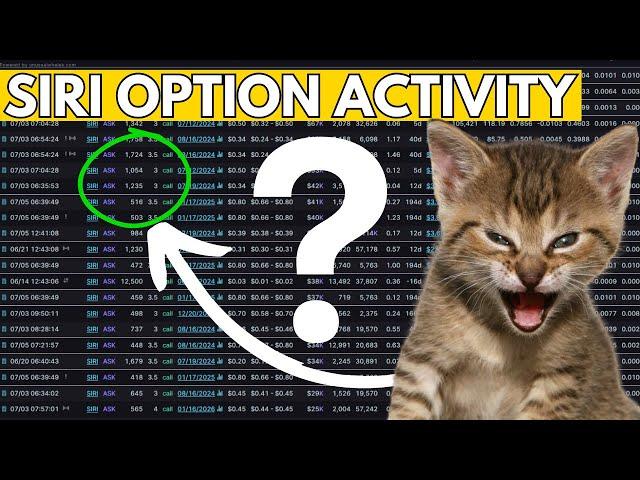 Is Roaring Kitty Buying SIRI Options?