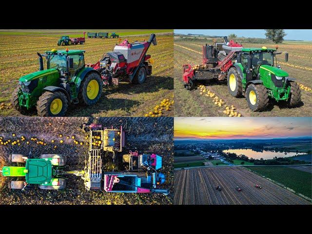 KÜRBISERNTE XXL | 3 x MOTY | John Deere | Pumpkin Seed Harvesting