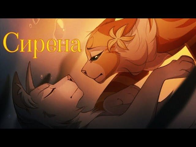 ЗАКАЗ Коты Воители Звёздный Цветок: Сирена (Polnalyubvi)