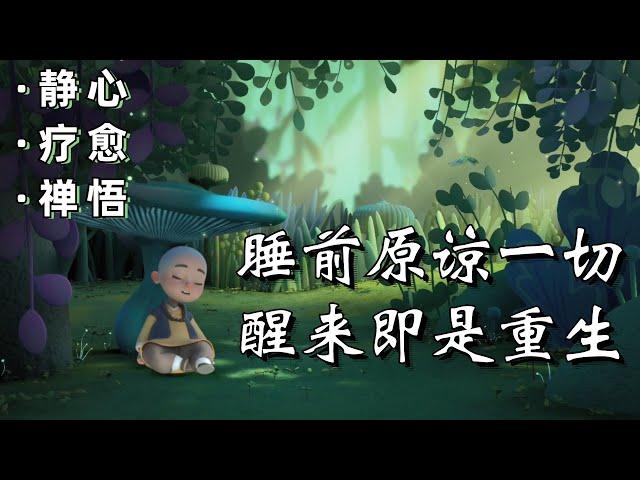 【一禪小和尚】心灵禪語：迷茫時如何自處？這是我聽過最好的答案｜靜心/療愈/禪悟