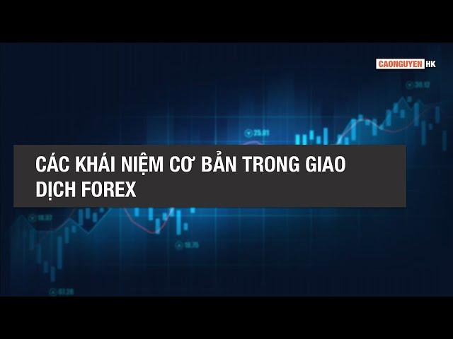 BÀI 1 - CÁC KHÁI NIỆM CƠ BẢN TRONG GIAO DỊCH FOREX