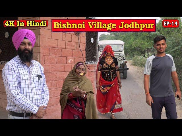 Bishnoi Village Jodhpur | बिश्नोई गांव जोधपुर | EP 14 | pack4yatra