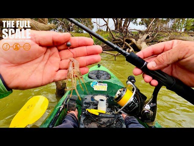 How To Fish With Shrimp | The Full Scale