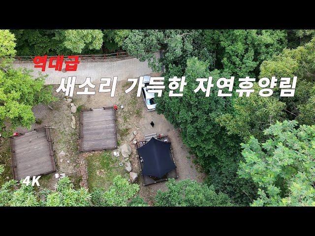 추천으로 다녀온 역대급 새소리 가득한 태학산 자연휴양림 캠핑. 한끼