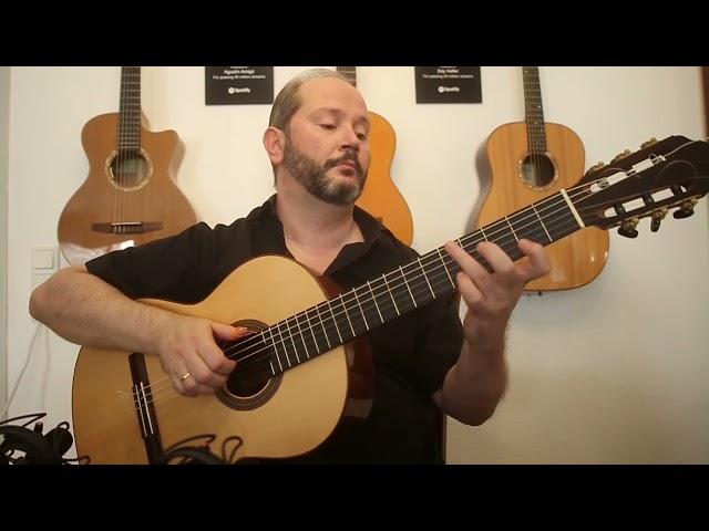 Agustín Amigó - "Damals" (Original) - Solo Guitar