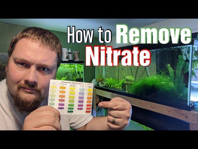 Aquarium Maintenance Tips - How to remove Nitrate