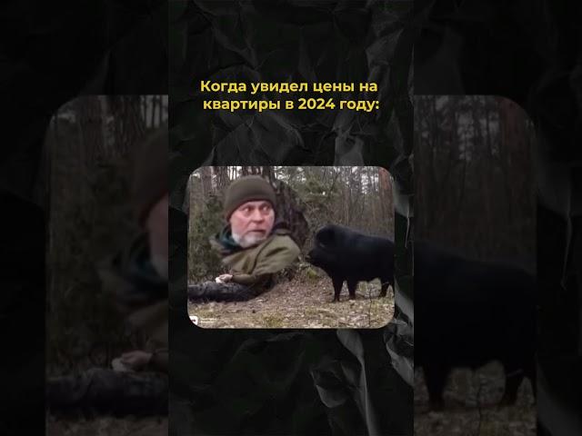 Когда увидел цены на квартиры 