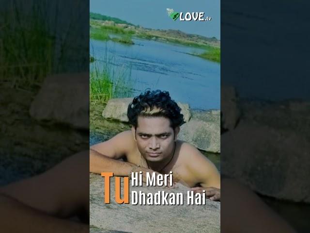 photo song## short video