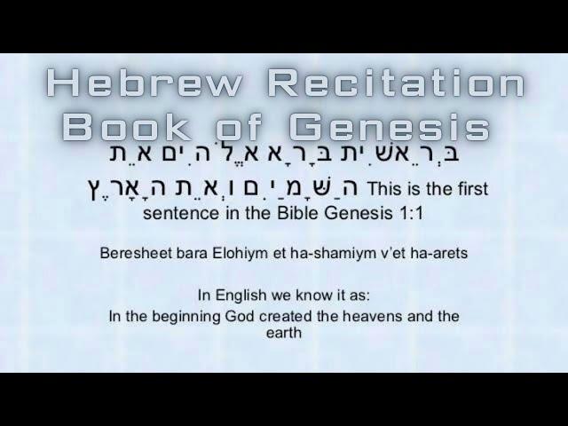 Torah | Genesis Hebrew Recitation | תורה | דקלום עברי בראשית