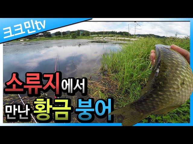 Carp fishing in farming pond