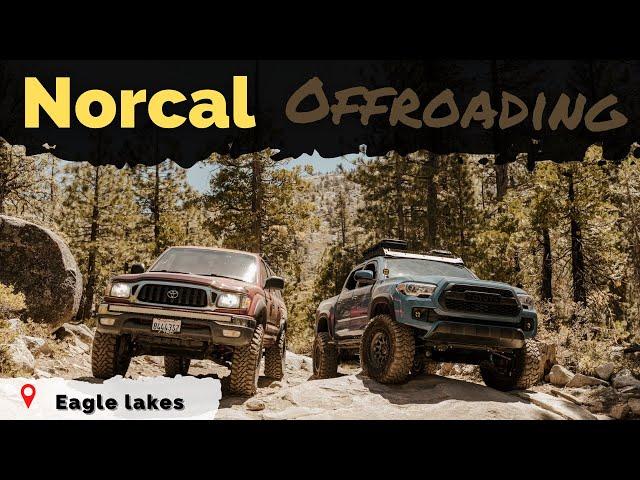 NorCal Off-roading at Eagle Lakes | Offroad Trail Review in The Tacoma EP: 3