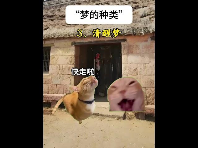 逝者梦是多少人求之不得的啊… #故事 #貓 #猫猫meme小剧场 #猫meme #内容过于真实 #猫meme小剧场 #猫meme剧场 #喵不可言 #shorts