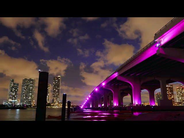 Biscayne Bay Boat Tours a New Perspective On Miami. Embark on our spectacular sightseeing cruise!