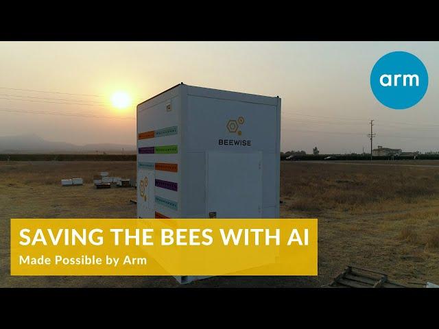 Saving the Bees with AI: Made Possible by Arm