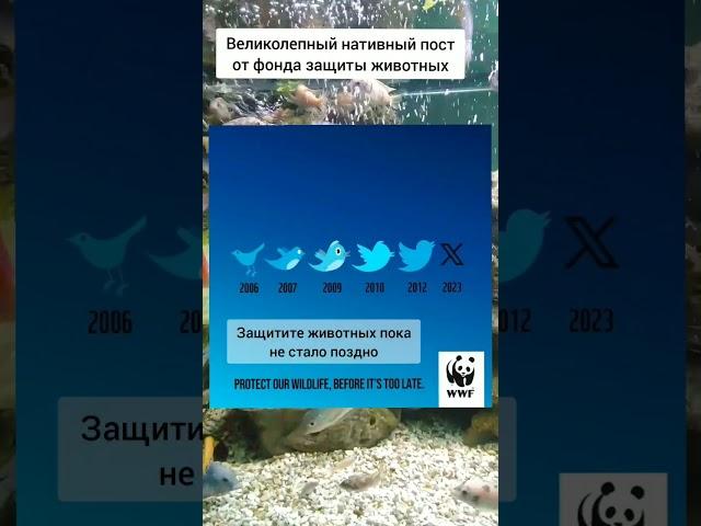 СОХРАНИМ ПРИРОДУ ВМЕСТЕ. ПОДПИШИСЬ! #природа #россия #экология #будущее #жизнь #новости #животные