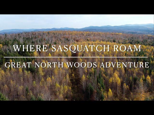 Where Sasquatch Roam : The Great North Woods Adventure