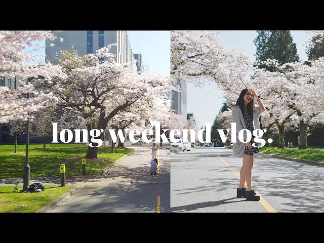 long weekend vlog | grad photos, cherry blossoms, packing