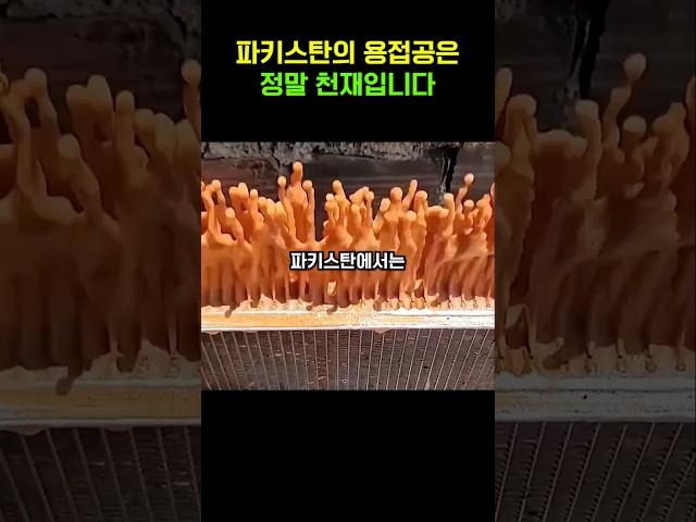 놀라운 파키스탄의 기술자들