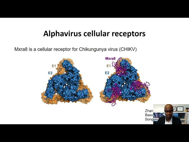 Keynote Presentation  Lipoprotein Receptors are Evolutionarily Conserved Cellular Receptors for...