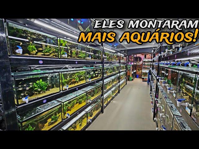 TOUR PELAS BATERIAS DE PEIXES DE ÁGUA DOCE DA AQUÁRIO WAY