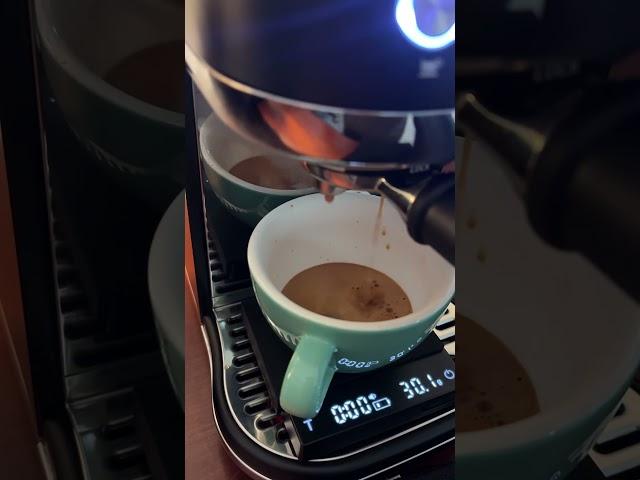 Breville Bambino Plus Latte Art  #bambino #coffee #espresso #homebarista #latteart