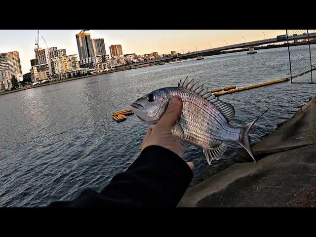 How to catch bream on soft plastics?