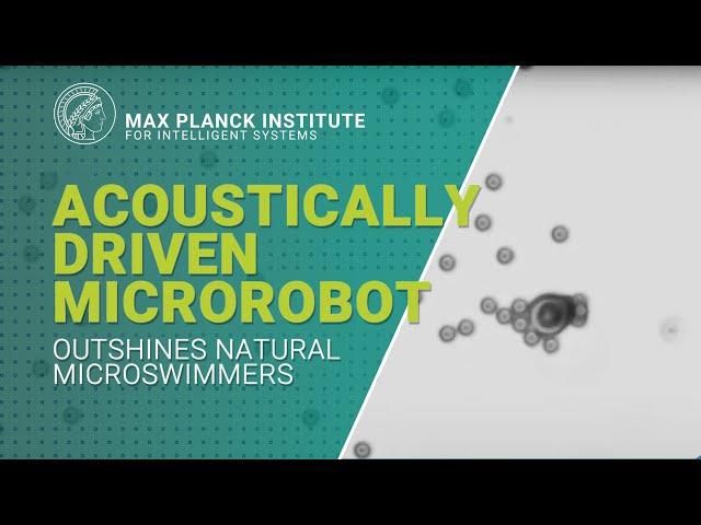 Acoustically driven microrobot outshines natural microswimmers