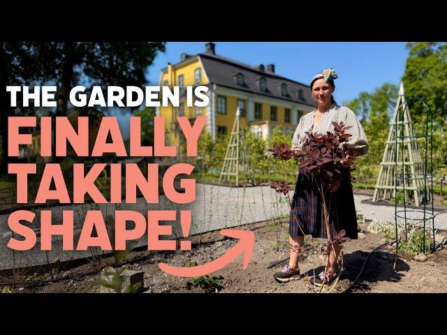 Can You BUILD A DREAM GARDEN in Just a Few Weeks?